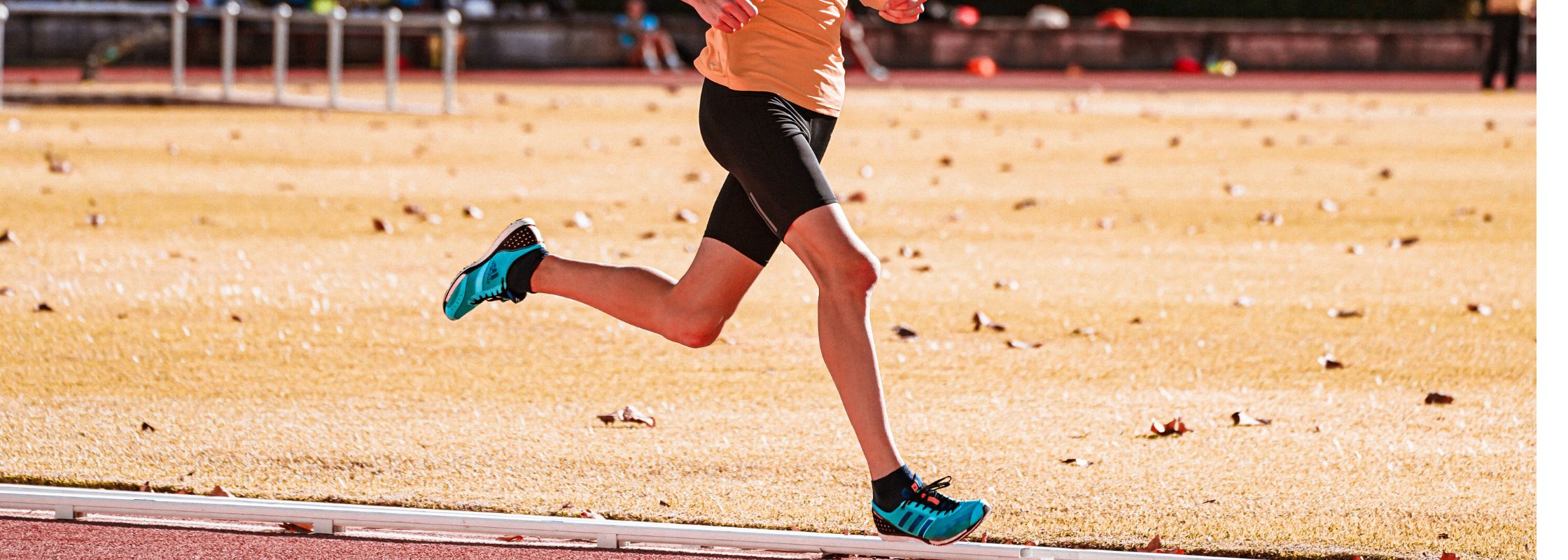 lactate threshold assessment lactate threshold assessment